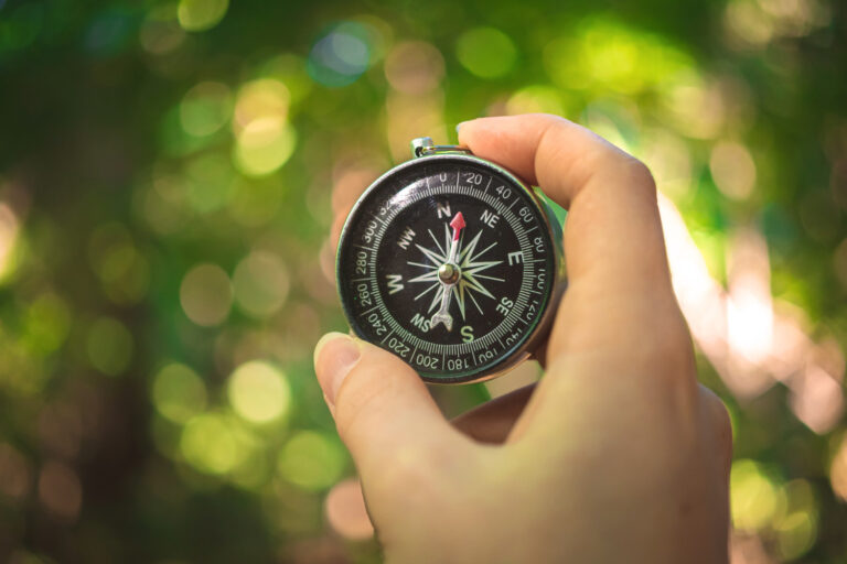 Woman's hand holding up a compass against a backdrop of a forest