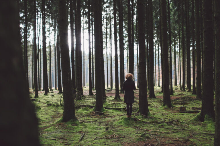 Woman standing still amongst tall trees